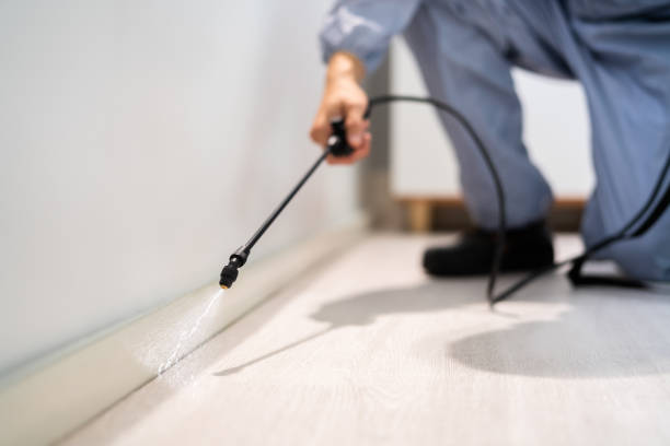 Licensed Pest Control service in Winnsboro, SC - Show Me Pest Control