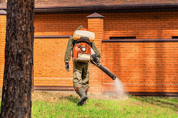 Bed Bug Clearance Verification and Documentation in Winnsboro